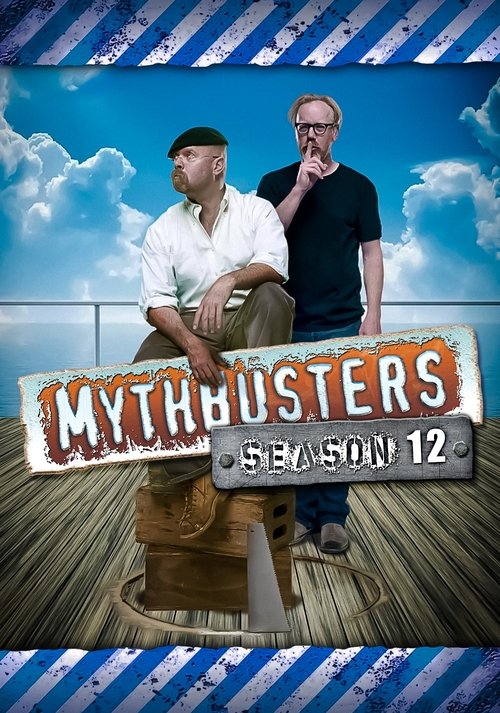 Poster for Season 12