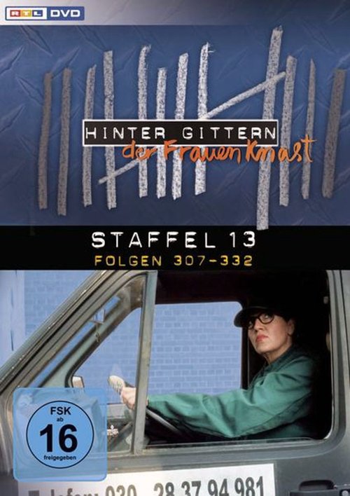 Poster for Season 13