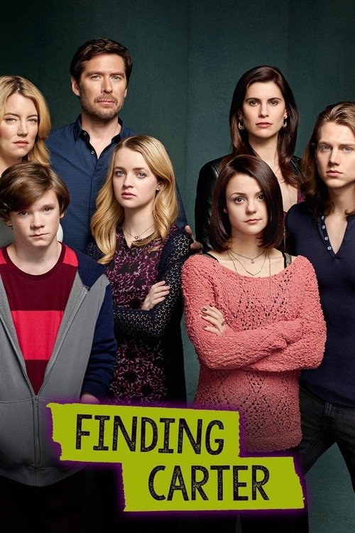 Poster for Finding Carter