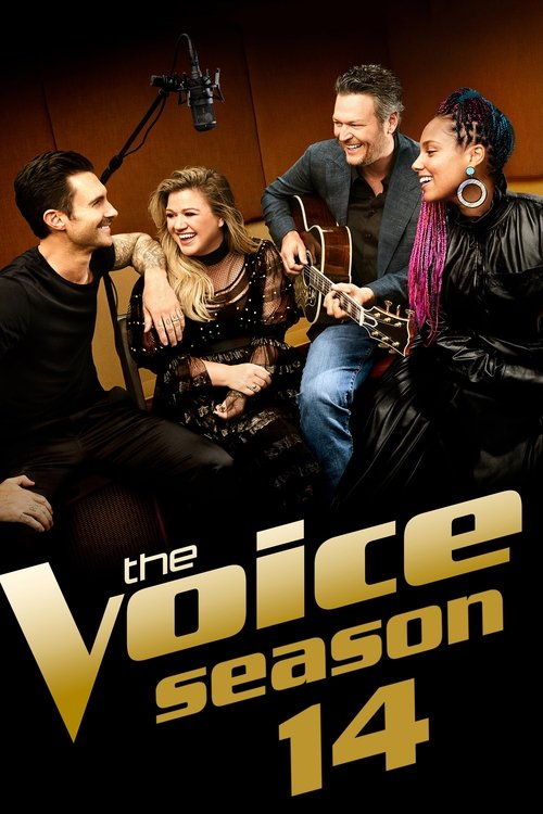 Poster for Season 14