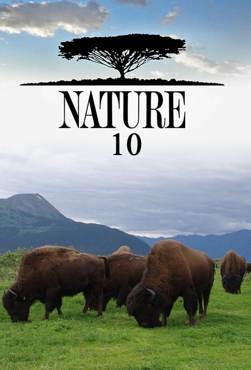Poster for Season 10