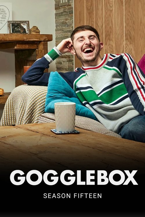 Poster for Season 15