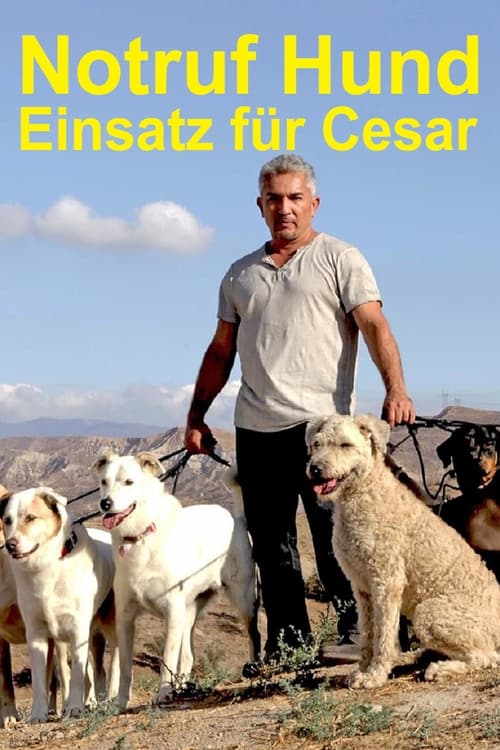 Poster for Cesar 911