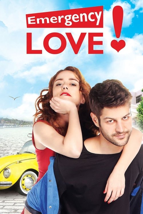 Poster for Emergency Love