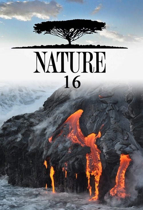 Poster for Season 16