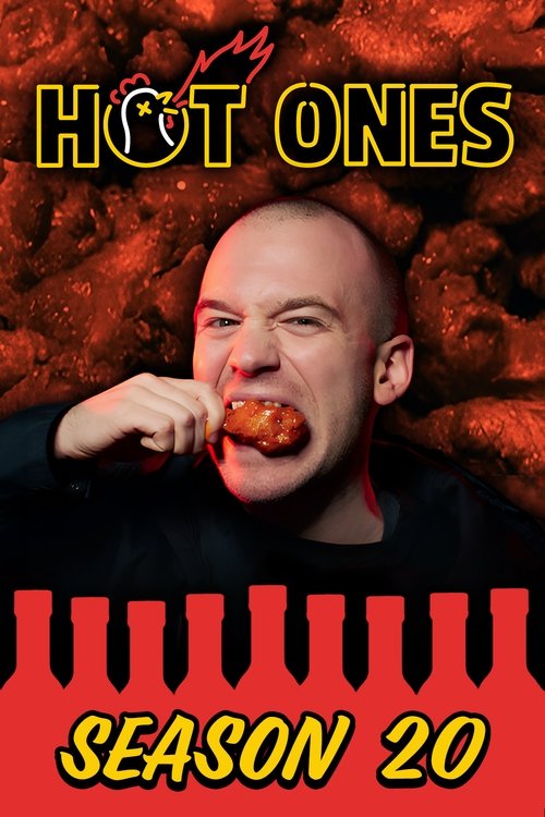 Poster for Season 20