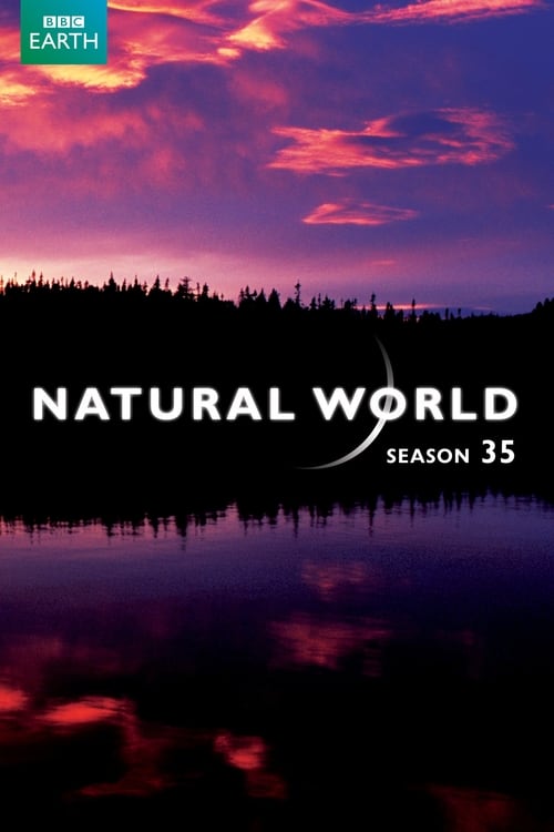 Poster for Season 35