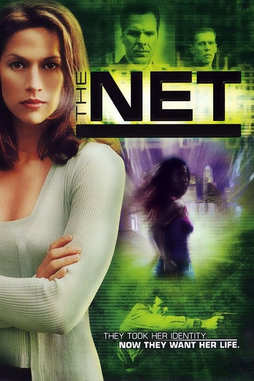 Poster for The Net