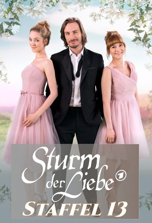 Poster for Season 13