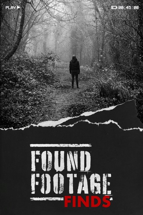 Poster for Found Footage Finds