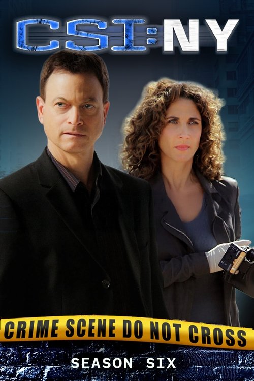 Poster for Season 6