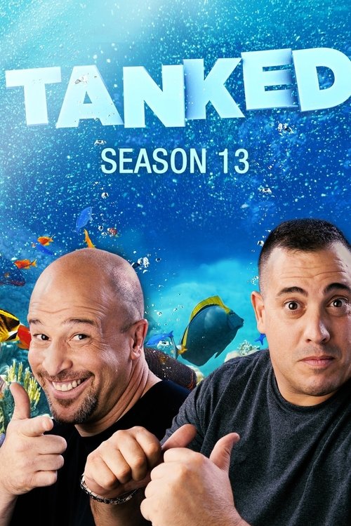 Poster for Season 13