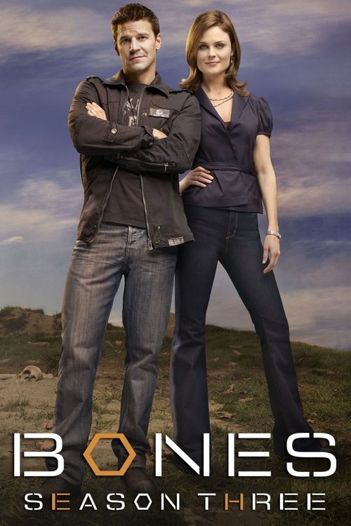 Poster for Season 3
