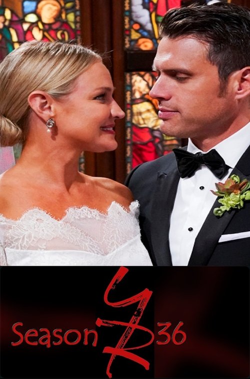 Poster for Season 36