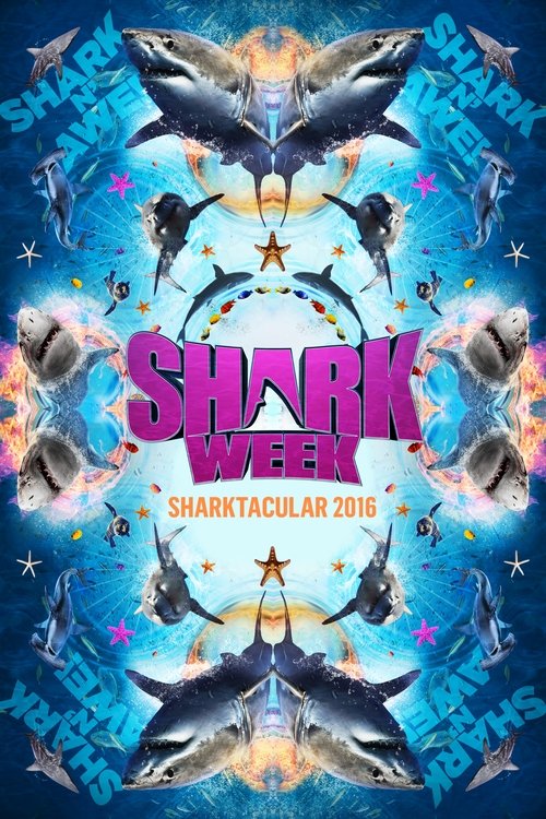 Poster for 2016