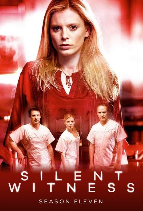 Poster for Series 11