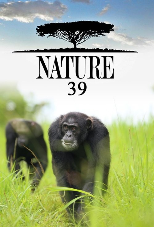 Poster for Season 39