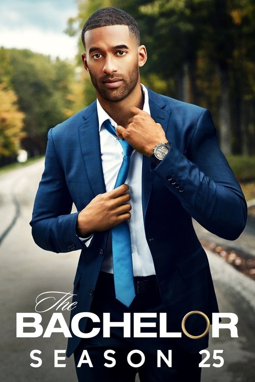 Poster for Season 25