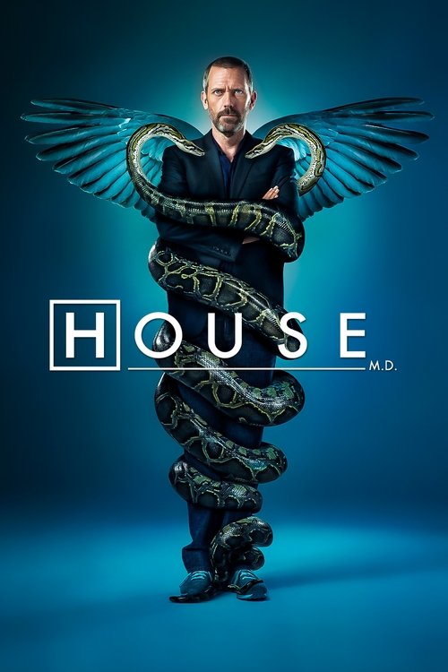Poster for House