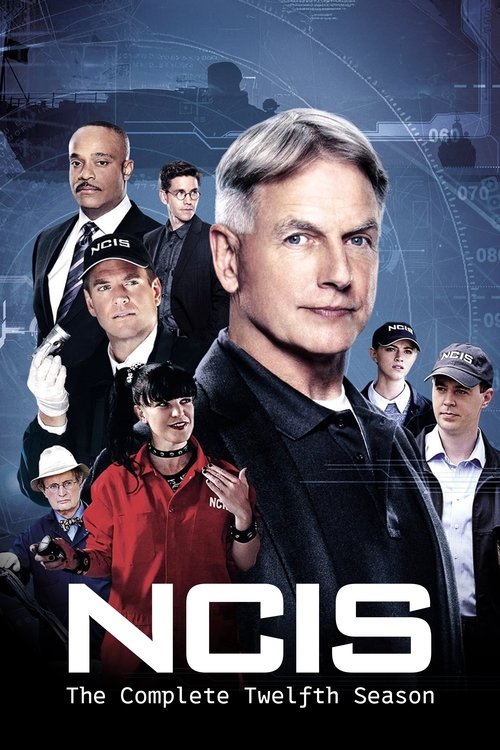 Poster for Season 12