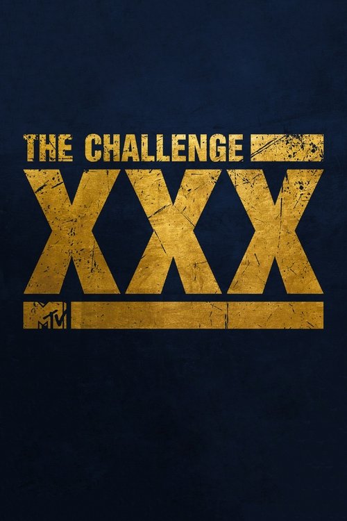 Poster for XXX: Dirty Thirty