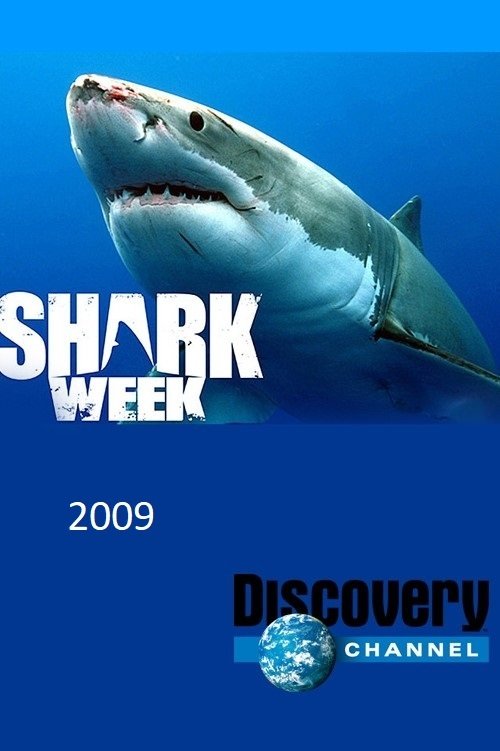 Poster for 2009