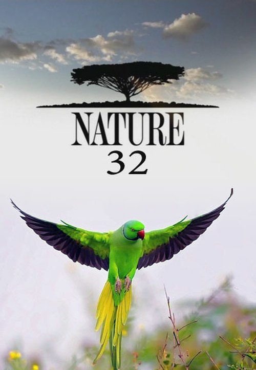 Poster for Season 32