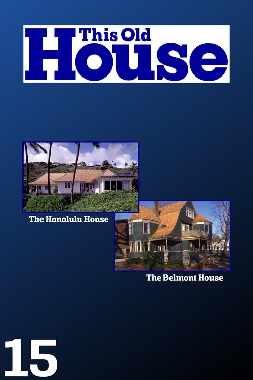 Poster for Season 15