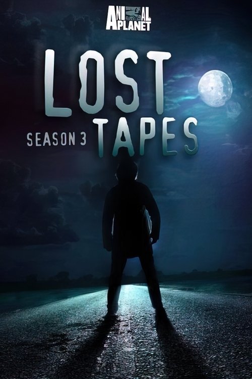 Poster for Season 3