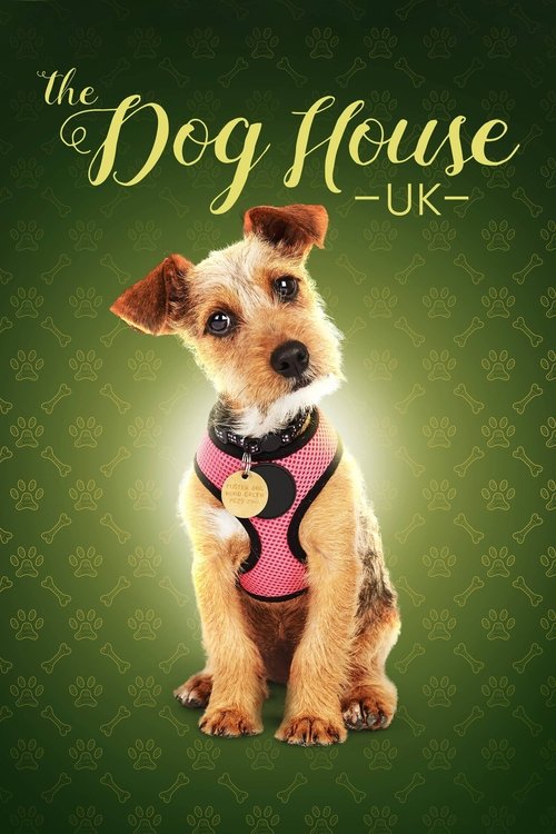 Poster for The Dog House