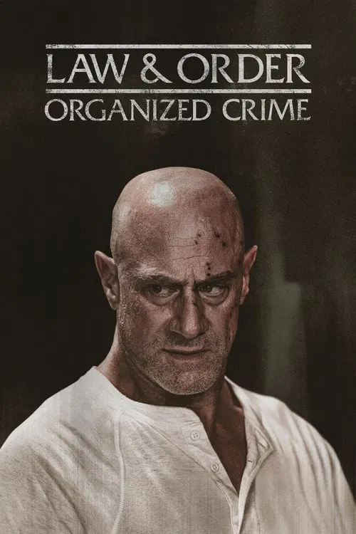 Poster for undefined