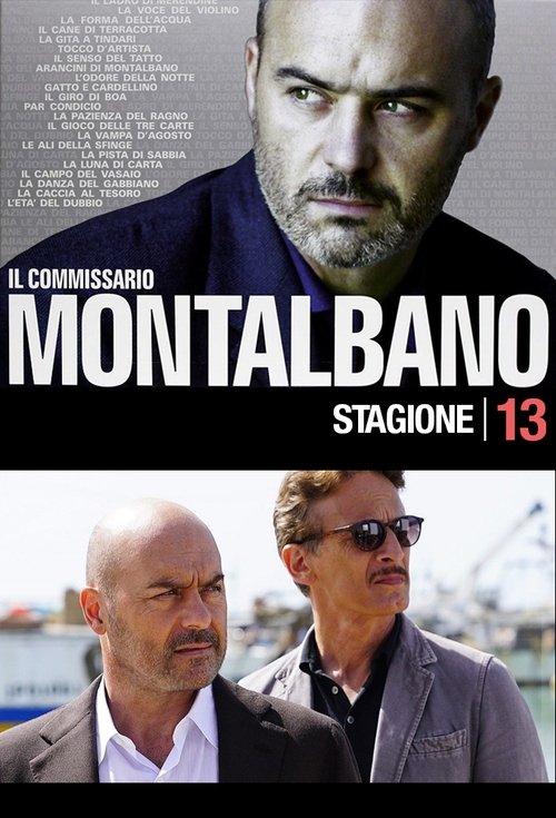 Poster for Season 13