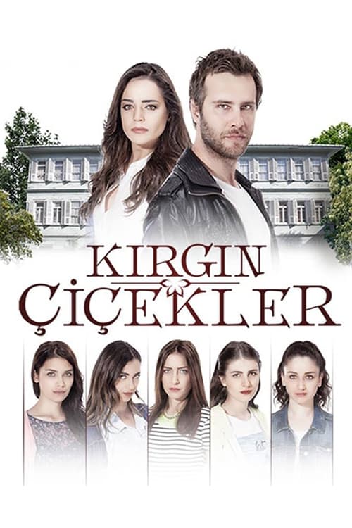 Poster for Orphan Flowers