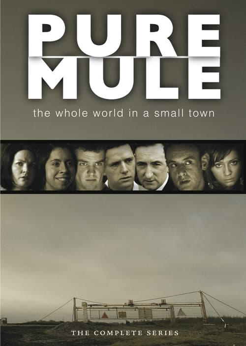 Poster for Pure Mule