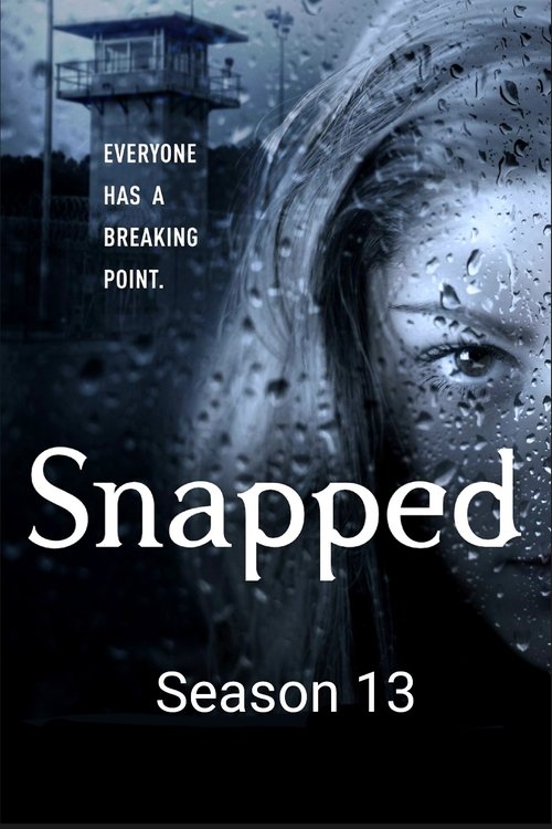 Poster for Season 13