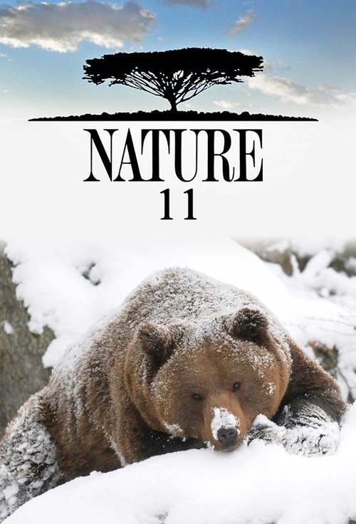 Poster for Season 11