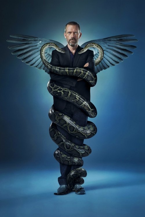 Poster for House