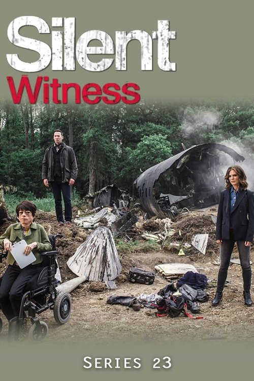 Poster for Series 23