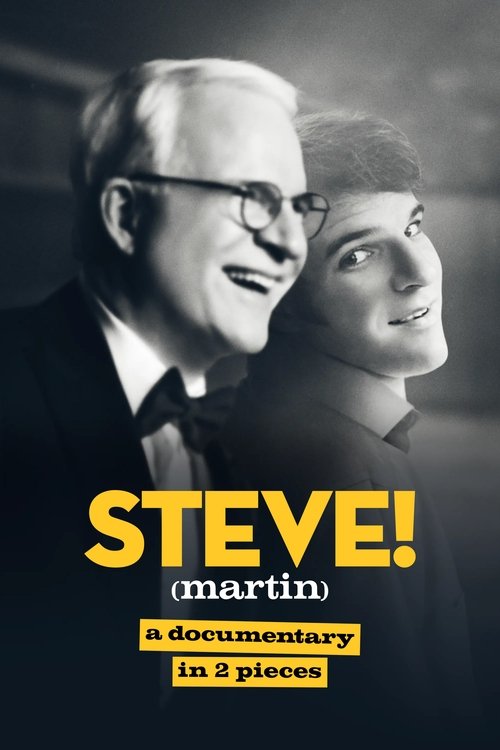 Poster for STEVE! (martin) a documentary in 2 pieces
