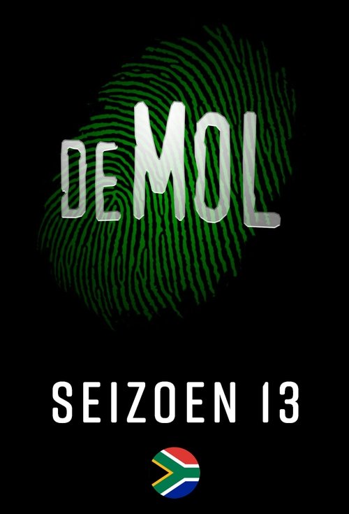 Poster for Season 13