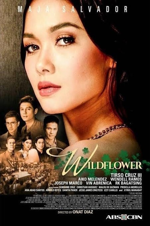 Poster for Season 1