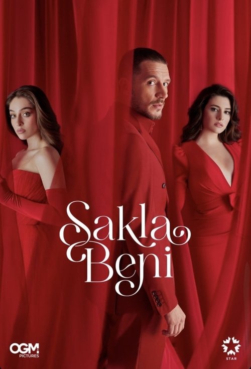 Poster for Lost in Love