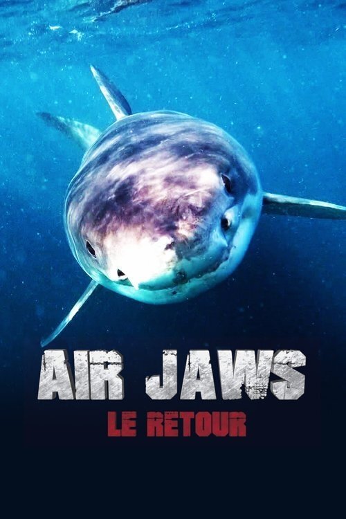 Poster for 2018