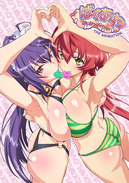 Poster for Baku Ane: Otouto Shibocchau zo! The Animation