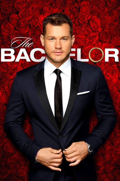 Poster for Season 23