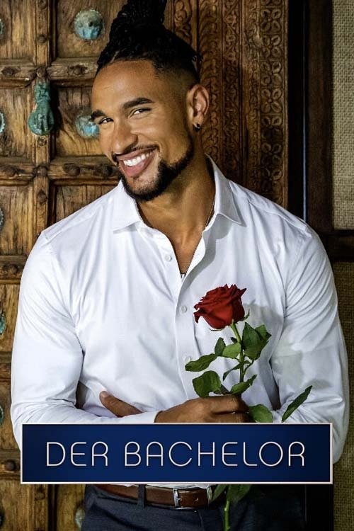 Poster for Season 13