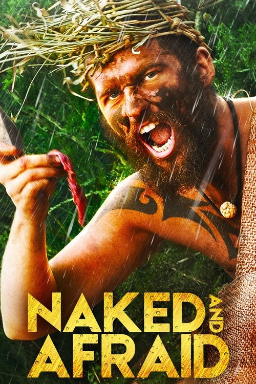 Poster for Season 13
