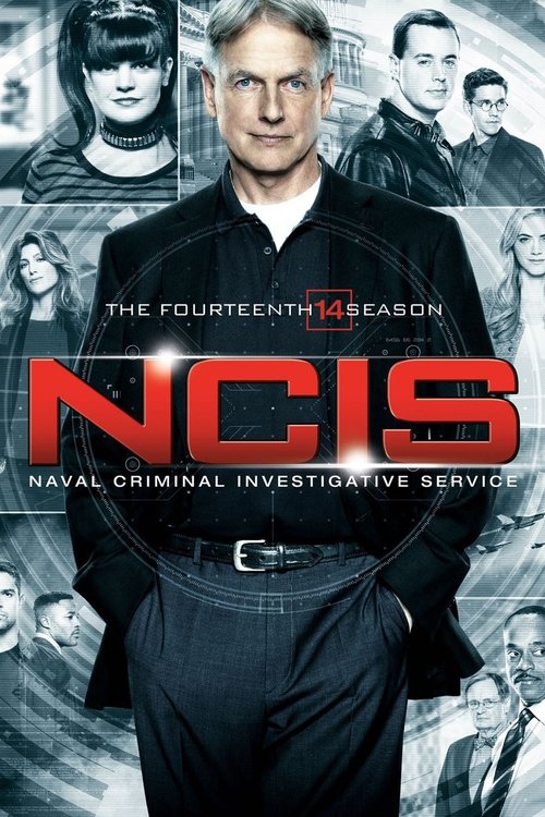Poster for Season 14