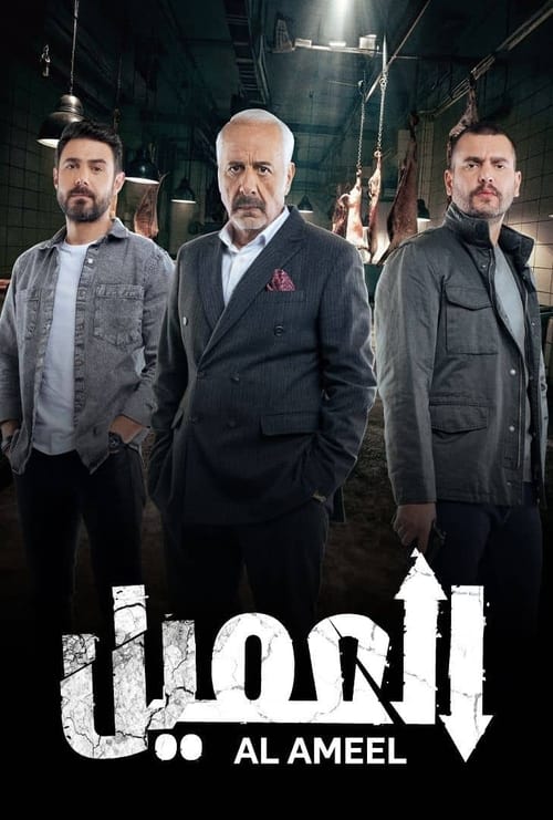 Poster for The Agent