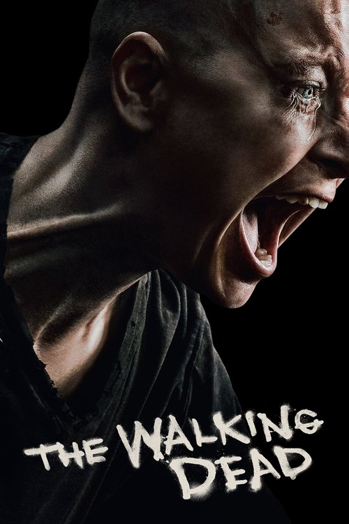 Poster for The Walking Dead